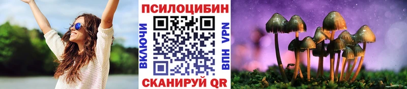 МЕГА рабочий сайт  Зеленогорск  Галлюциногенные грибы Psilocybine cubensis  наркотики 